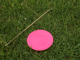 画像1: スピニングプレート ピンク